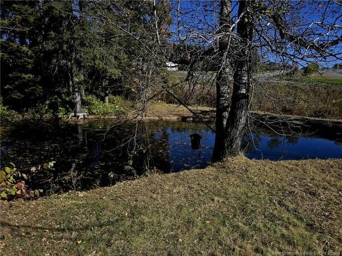 86 Saint Andre Rd, Grand-Sault/Grand Falls, NB 