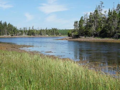 Anchorage Avenue, South River Bourgeois, NS 