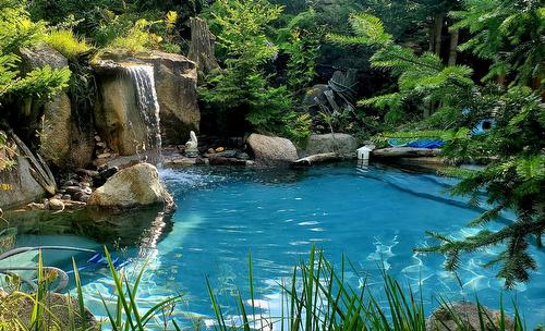 Piscine - 48 Ch. Doris, Saint-Sauveur, QC - Outdoor With Body Of Water