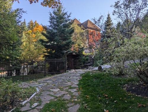 Jardin - 48 Ch. Doris, Saint-Sauveur, QC - Outdoor