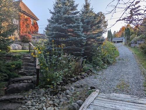 Jardin - 48 Ch. Doris, Saint-Sauveur, QC - Outdoor