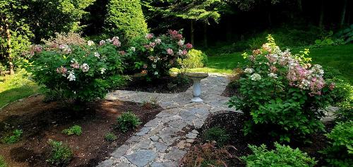 Jardin - 48 Ch. Doris, Saint-Sauveur, QC - Outdoor