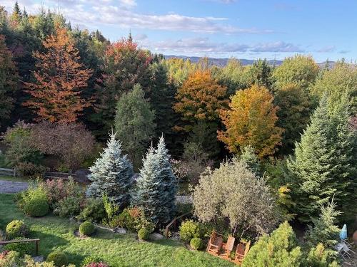 Vue - 48 Ch. Doris, Saint-Sauveur, QC - Outdoor With View