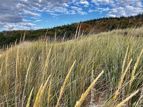 94 Chimney Corner Beach Road, Chimney Corner, NS 