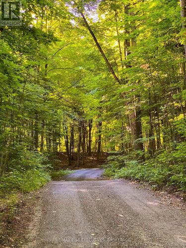 Pt 2 Spring Mill Lane, Frontenac (Frontenac South), ON 