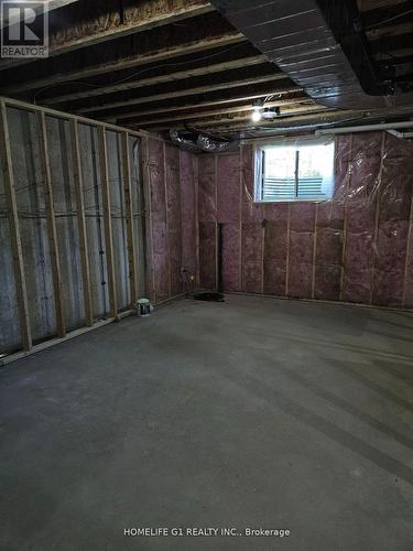 17 - 17 Shamrock Common, St. Catharines, ON - Indoor Photo Showing Basement