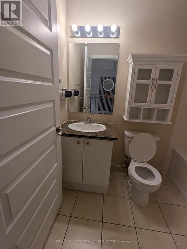 221 - 215 Queen Street, Brampton, ON - Indoor Photo Showing Bathroom