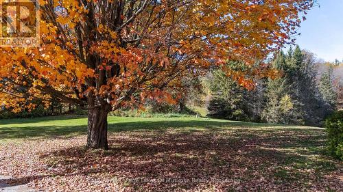 96 520 Highway W, Armour, ON - Outdoor