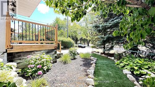 20 Holgate Street, Barrie, ON - Outdoor With Deck Patio Veranda