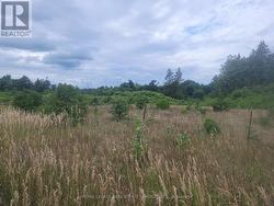 COUNTY ROAD 10, LOT 2  Prince Edward County, ON K0K 2T0