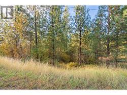 Lot 11 EVANS Road  Creston, BC V0B 1G7