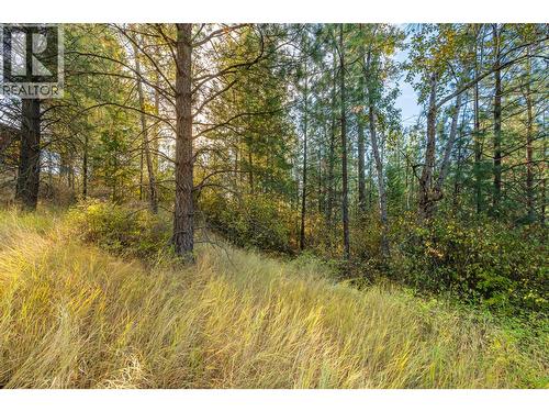 Lot 11 Evans Road, Creston, BC 