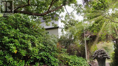 52-54 St Johns Road, Bay Bulls, NL - Outdoor