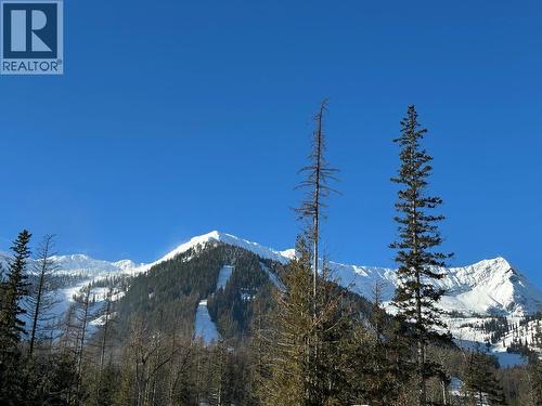 4559 Timberline Crescent Unit# 541, Fernie, BC - Outdoor With View