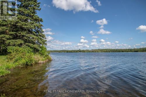 Lot 256 Mcguire Beach Road, Kawartha Lakes, ON 