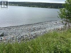 6-8 Old Water Street  Harbour Grace, NL A0A 2M0