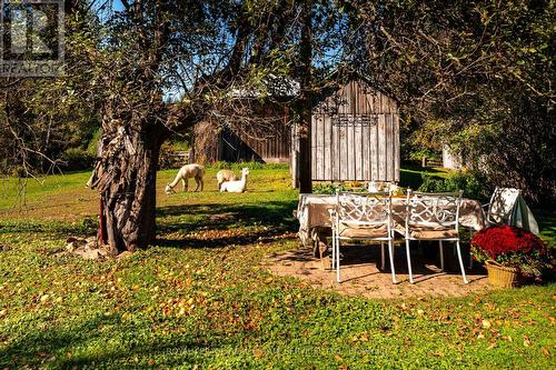 2414 Concession 3 Road, Caledon, ON - Outdoor