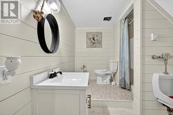 Basement bathroom - 