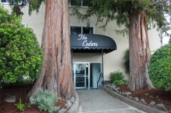 202-380 Brae Rd  Duncan, BC V9L 3T8