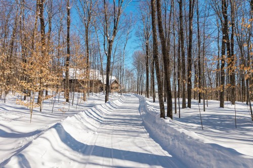 Extérieur - 439 Ch. Alger'S Cove, Stanstead - Canton, QC - Outdoor With View