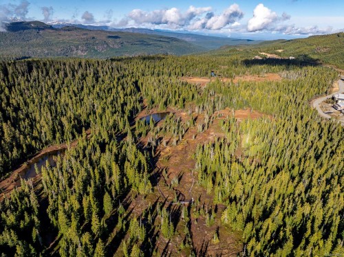 860 Cruikshank Ridge, Courtenay, BC 