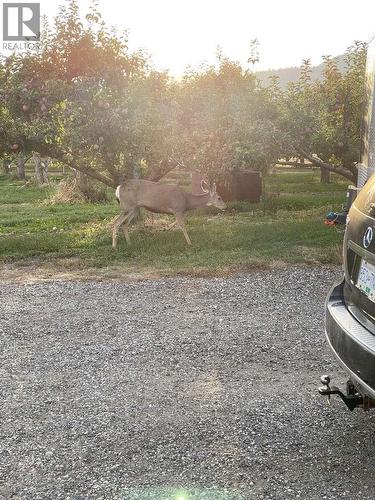 13606 Cooke Avenue, Summerland, BC - Outdoor