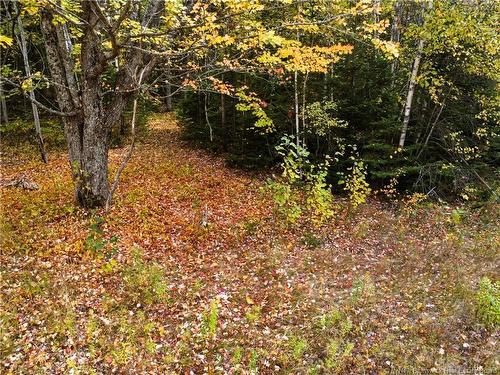 867 Pine Glen Rd, Riverview, NB 