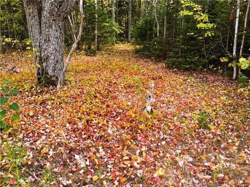 867 Pine Glen Rd, Riverview, NB 