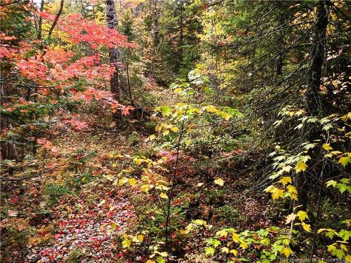 867 Pine Glen Rd, Riverview, NB 