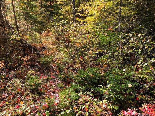 867 Pine Glen Rd, Riverview, NB 