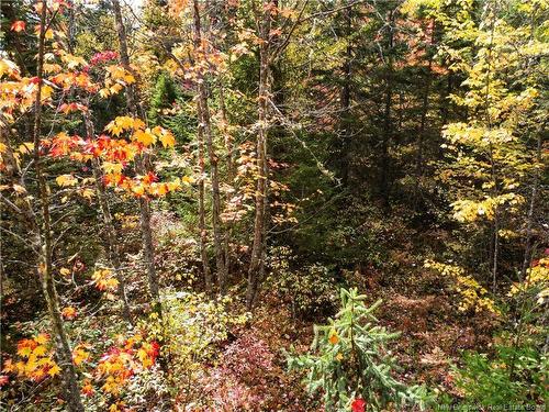 867 Pine Glen Rd, Riverview, NB 