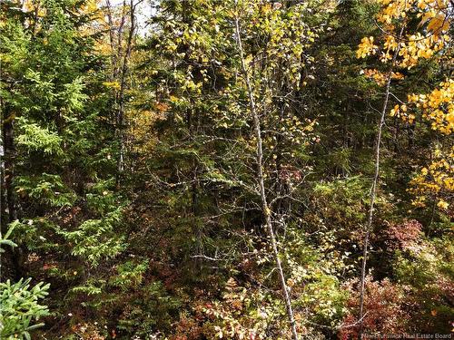 867 Pine Glen Rd, Riverview, NB 