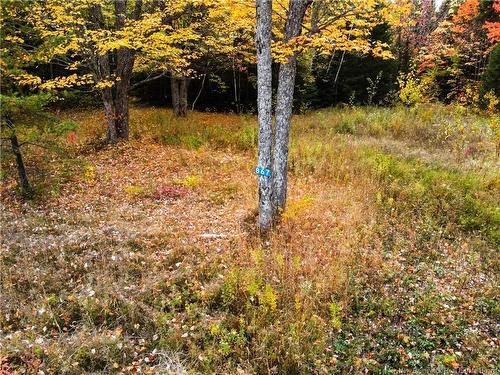 867 Pine Glen Rd, Riverview, NB 