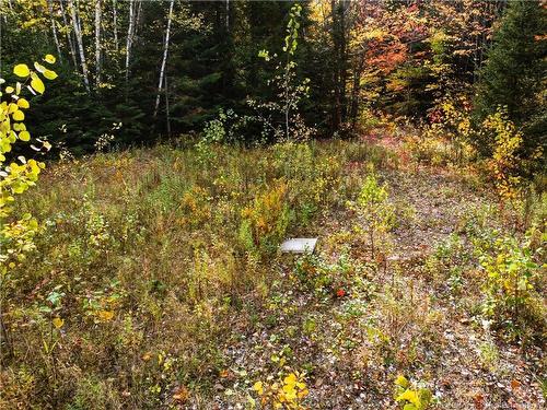 867 Pine Glen Rd, Riverview, NB 