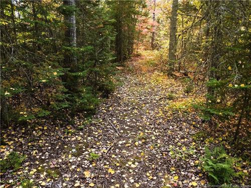 867 Pine Glen Rd, Riverview, NB 