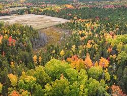 867 Pine Glen RD  Riverview, NB E1J 1R7