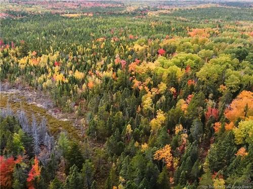 867 Pine Glen Rd, Riverview, NB 