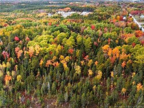 867 Pine Glen Rd, Riverview, NB 