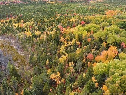 867 Pine Glen Rd, Riverview, NB 