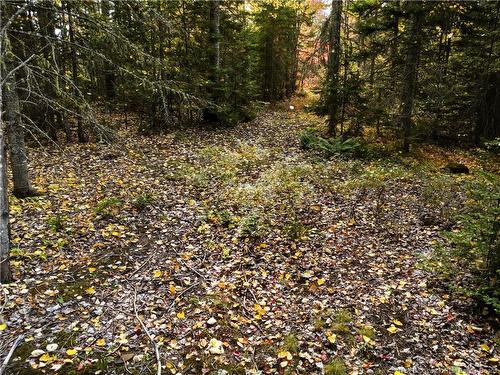 867 Pine Glen Rd, Riverview, NB 