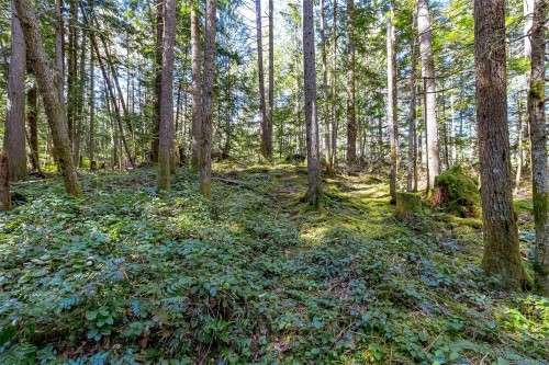 Lot 12 Mountain Rd, Duncan, BC 