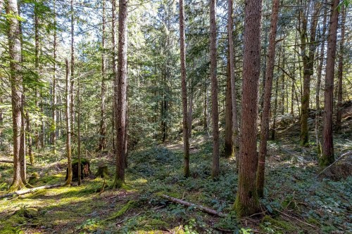 Lot 12 Mountain Rd, Duncan, BC 