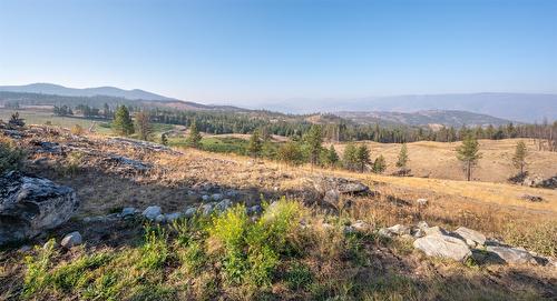 222 Old Camp Mckinney Road, Oliver, BC - Outdoor With View