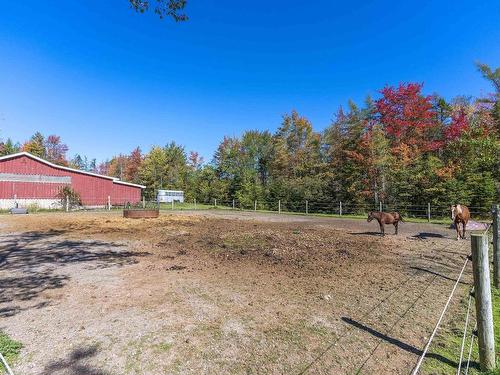 34 Horne Settlement Road, Enfield, NS 