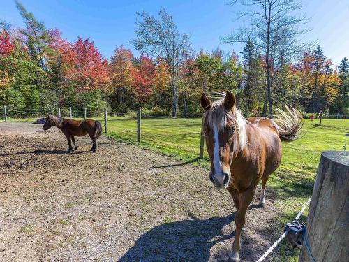 34 Horne Settlement Road, Enfield, NS 