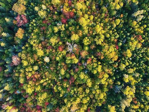 Northside Road, Rock Barra, PE 