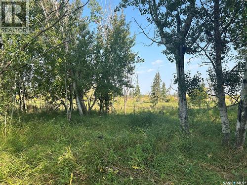 Weaver, Barrier Valley Rm No. 397, SK 