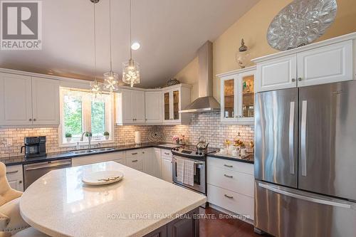 113 Fire Route 37, Trent Lakes, ON - Indoor Photo Showing Kitchen With Double Sink With Upgraded Kitchen