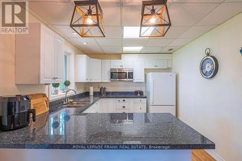 113 Fire Route 37, Trent Lakes, ON - Indoor Photo Showing Kitchen With Double Sink