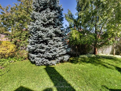 4342 Violet Road, Mississauga, ON - Outdoor